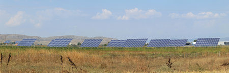 Solar panels mounted on tracking system in field