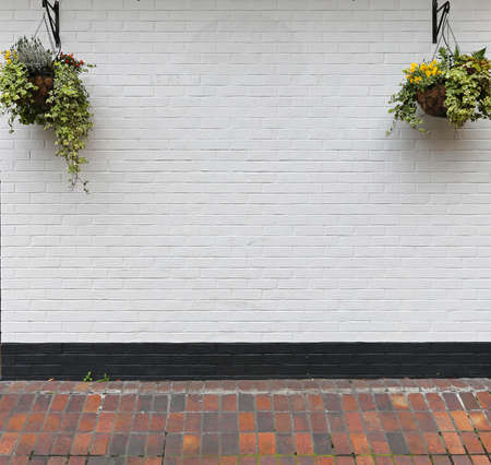 White wall with hanging flower potsの写真素材