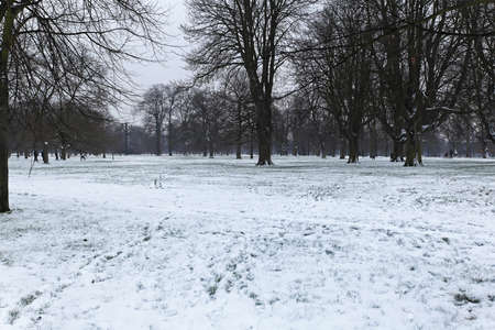 Snow in Hyde Park Londonの写真素材