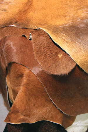 Bunch of natural cowhides in brown color
