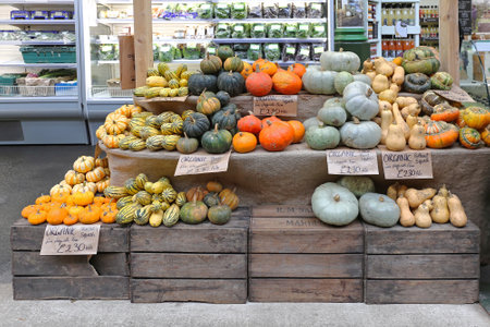 LONDON, UNITED KINGDOM - NOVEMBER 20: Gourds and pumpkins shop in London on NOVEMBER 20, 2013. A variety of pumpkins and squashes for sale at Borough Market in London, United Kingdom.のeditorial素材