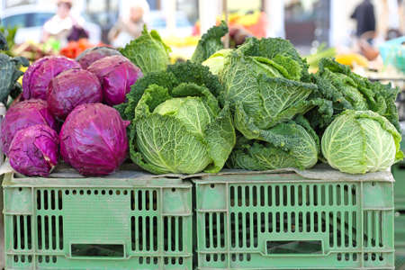 Purple and Savoy Cabbage at farmers marketの写真素材
