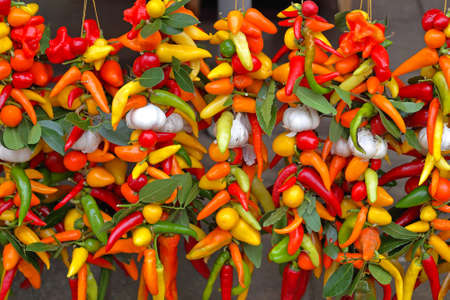 Colorful hot Chili Peppers hanging at stringsの写真素材