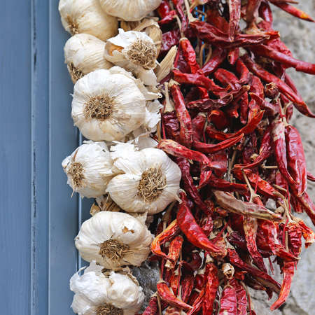 Dried Chili Pepper and Garlic Hanging at Wallの写真素材