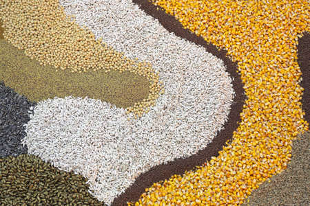 Bunch of Various Seeds for Shipping Birds and Farm Animalsの写真素材