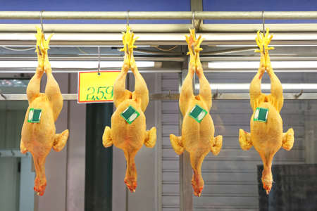 Roosters hanging at Butcher Shop in Marketの写真素材