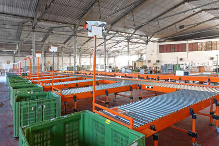 Conveyor Belt System For Sorting in Warehouse