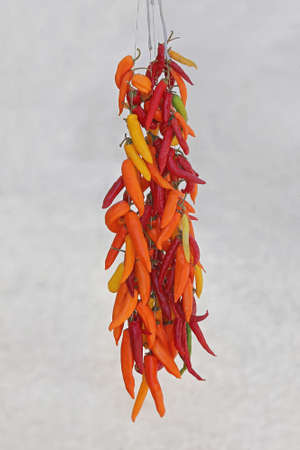 Spicy Hot Chili Peppers at String
