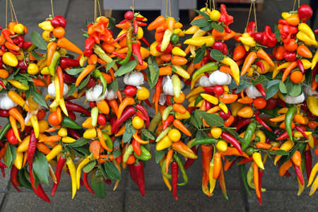 Colorful Hot Chili Peppers Hanging at Stringsの写真素材