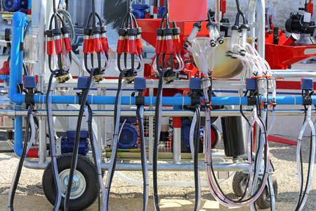 Portable Milking Station Dairy Equipment at Farm