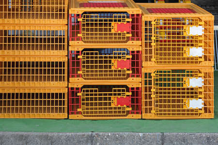 Plastic Cages for Birds at Farmの写真素材