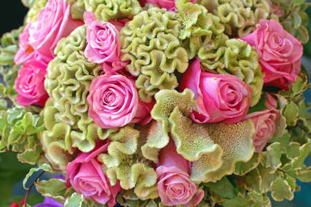 Pink Roses Bouquet Flowers Arrangementの写真素材