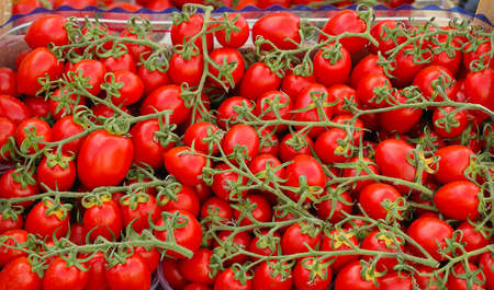 Cherry Tomato From Sicily at Farmers Marketの写真素材