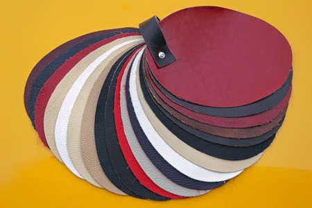 Color Swatch With Various Leathers for Furniture Industry