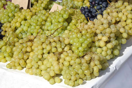 White Grapes in Clusters at Farmers Marketの写真素材