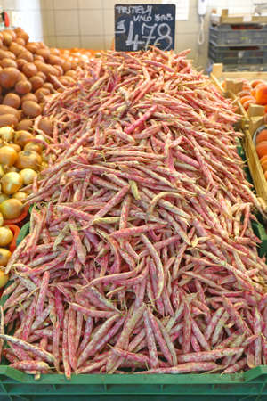 Big Pile of Fresh Borlotti Beans