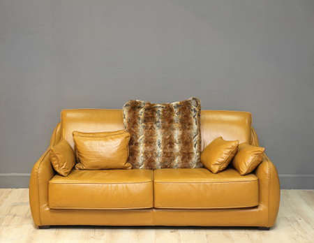 Leather Sofa With Pillows in Living Roomの写真素材