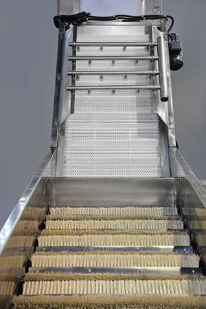 Washing Machine Conveyor for Vegetables and Fruits Produce