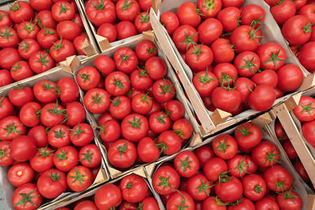 Fresh Ripe Red Tomatoes in Crates Top View