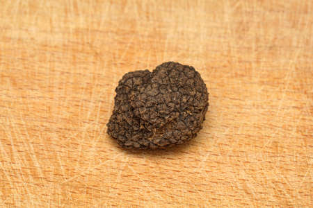 One Black Truffle Edible Mushroom Food