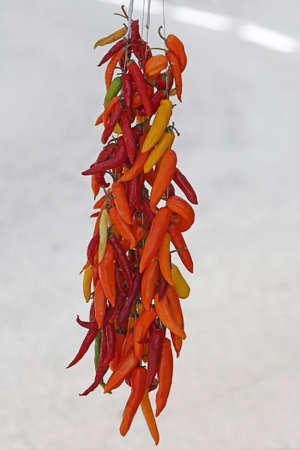 Spicy Hot Chili Peppers Hanging at String
