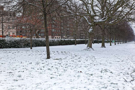 Big Snow in Hyde Park London Winter Seasonの写真素材