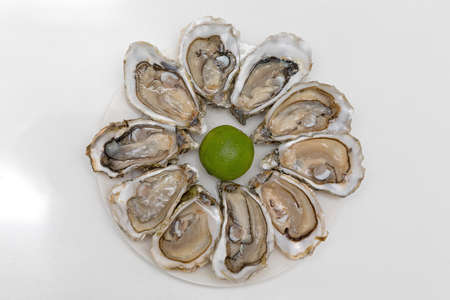 Served Opened Fresh Oysters Seafood at Plate