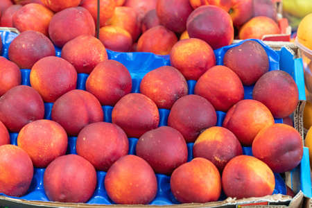 Nectarine Peach Fruits in Crate at Farmers Market