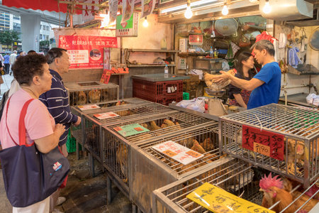 KOWLOON, HONG KONG - APRIL 22, 2017: Live Chickens at Poultry Shop at Local Market in Kowloon, Hong Kong.のeditorial素材