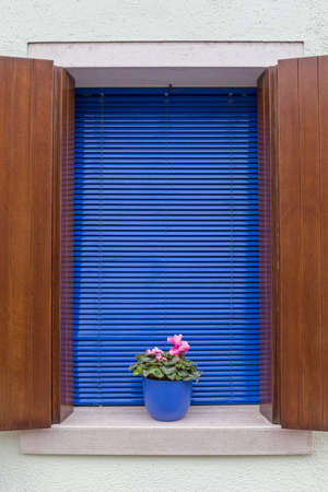 Blue Flower Pot in Window Burano Italyの写真素材