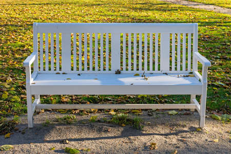 One White Bench in Park Autumn Norwayの写真素材