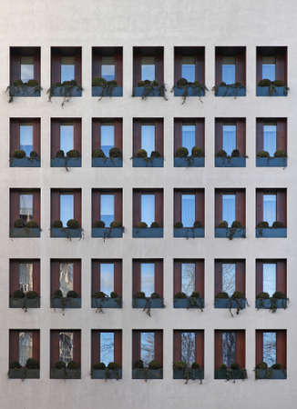 Plant Bushes in Windows at Modern Building Repetition