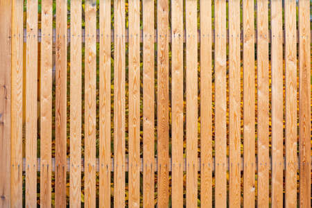 Wooden Fence at Garden Edge Backgroundの写真素材