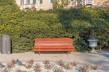 One Empty Wooden Bench in Venice Parkの写真素材