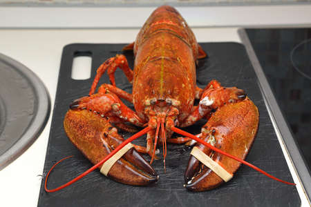 Big Lobster Cooked at Cutting Board
