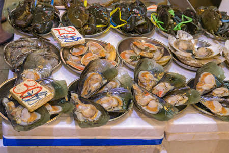Open Shells Sea Food at Market Stall