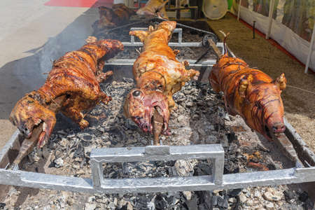 Lambs and Pig Roast Over Charcoal at Rotisserie Spit
