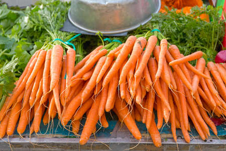 Bunch of Fresh Carrots at Farmers Market