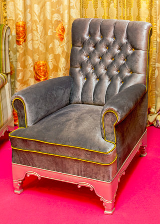 Classic Style Plush Textile Big Armchair in Homeの写真素材