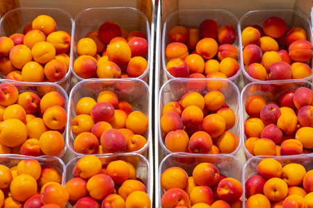 Apricots Fruits in Trays Crates Marketの写真素材