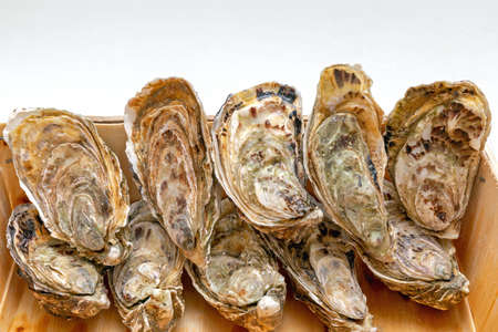 Fresh Bivalve Oysters in Wooden Crate Seafood