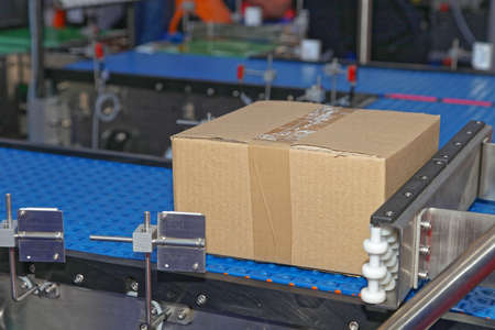 Cardboard Box Package at Conveyor System in Factory