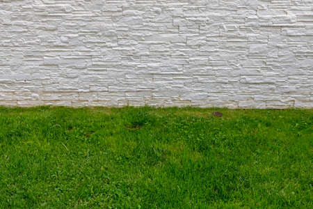 White Tiles Wall and Green Grass in Gardenの写真素材