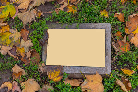 Golden Plaque Memorial at Park Ground Autumn