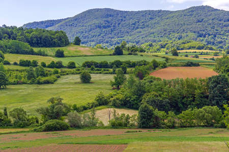 Green Hills at Spring Landscape in West Serbiaの写真素材