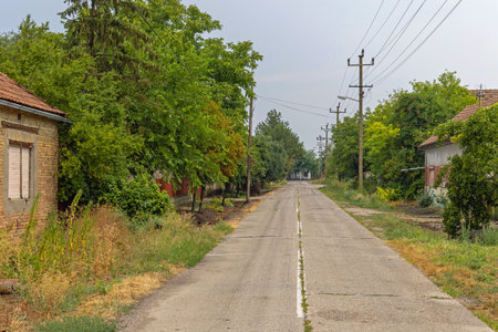 Empty Road at Village Vrbica in Vojvodina Serbia Summer Day