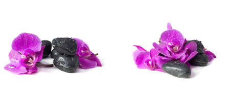 Spa concept of violet orchid on stones with dropsの写真素材