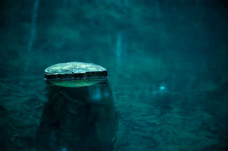 Stump immersed in magical lake.の写真素材