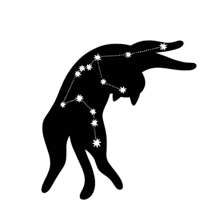 Black silhouette of a cat with the constellation Aquariusの写真素材