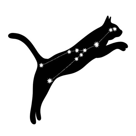 Black silhouette of a cat with the constellation Taurusの写真素材
